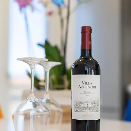 Luxury Oasis Penthouse In Center 公寓